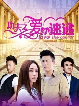 功夫之爱的速递海报