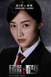 林冰检察官（赵子琪饰演）
