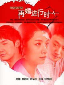 深白·再婚进行时海报