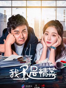 我不是精英海报