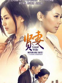 贤妻海报