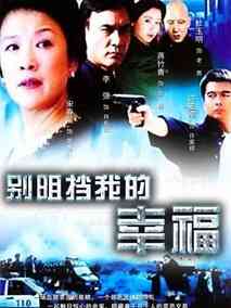 别阻挡我的幸福海报