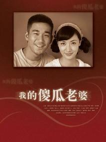 我的傻瓜老婆海报