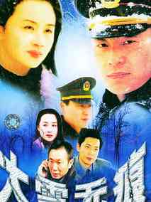 大雪无痕海报
