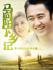 马向阳下乡记海报