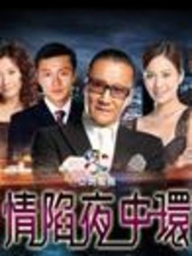 情陷夜中环海报