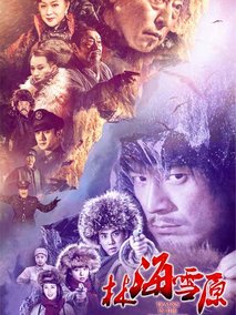 林海雪原海报
