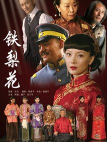 铁梨花海报