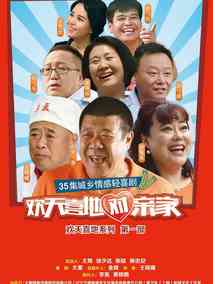 欢天喜地对亲家海报