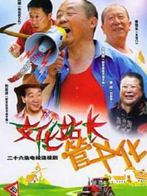 文化站长海报
