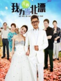 我为儿孙当北漂海报