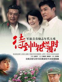 待到山花烂漫时海报