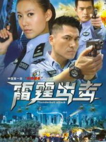 要案组雷霆出击海报