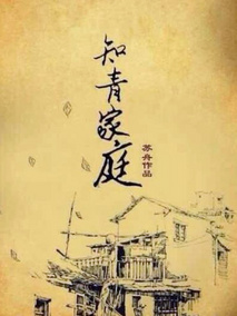 知青家庭海报
