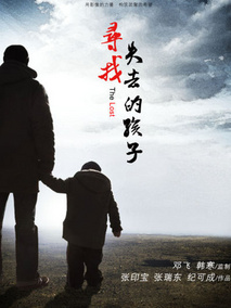 寻找失去的孩子海报