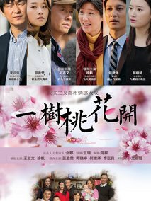一树桃花开海报