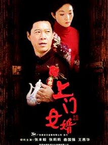 上门女婿海报