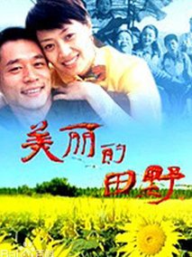美丽的田野海报