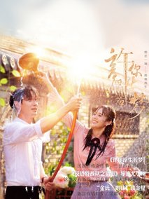 许你浮生若梦海报