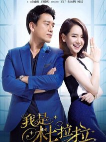 我是杜拉拉海报