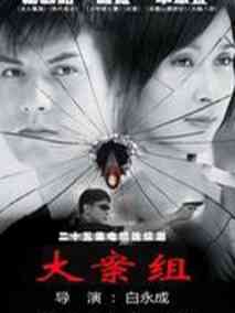 大案组海报