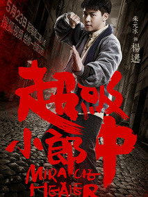 超级小郎中1海报