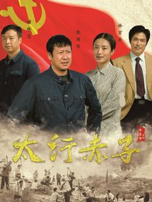 太行赤子海报
