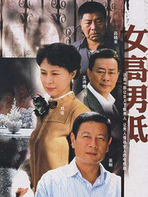 女高男低海报