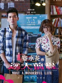 赛小花的远大前程海报