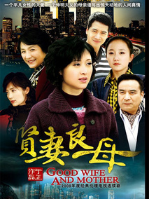 贤妻良母海报