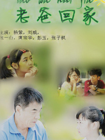 老爸回家海报