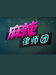 麻辣律师团海报