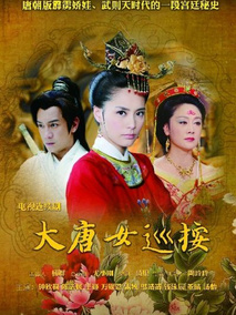 大唐女巡按海报