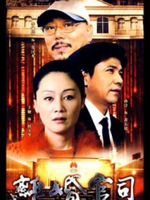 离婚官司海报