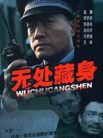 无处藏身海报