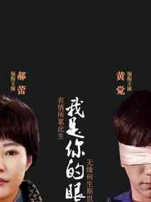 我是你的眼海报