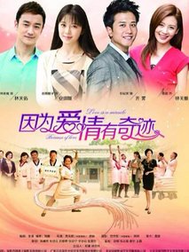因为爱情有奇缘海报