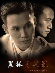 黑狐之风影海报