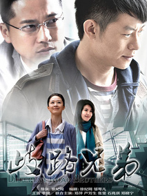 歧路兄弟海报