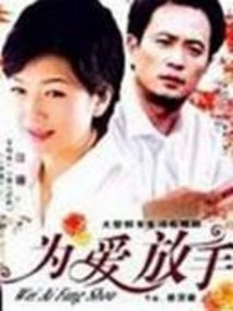 错爱2海报
