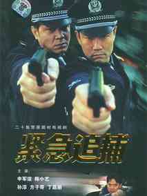 紧急追捕海报