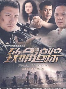 致命追踪海报
