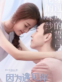 因为遇见你海报