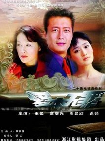 爱本无罪海报
