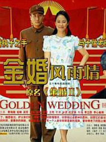 金婚·风雨情海报