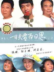 一日夫妻百日恩海报