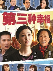 第三种幸福海报