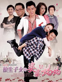 独生子女的婆婆妈妈海报
