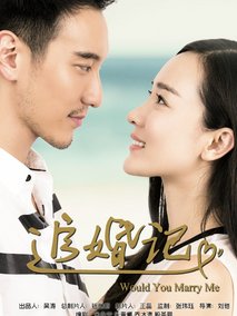 追婚记海报