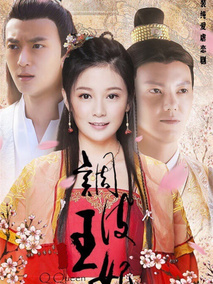 调皮王妃海报